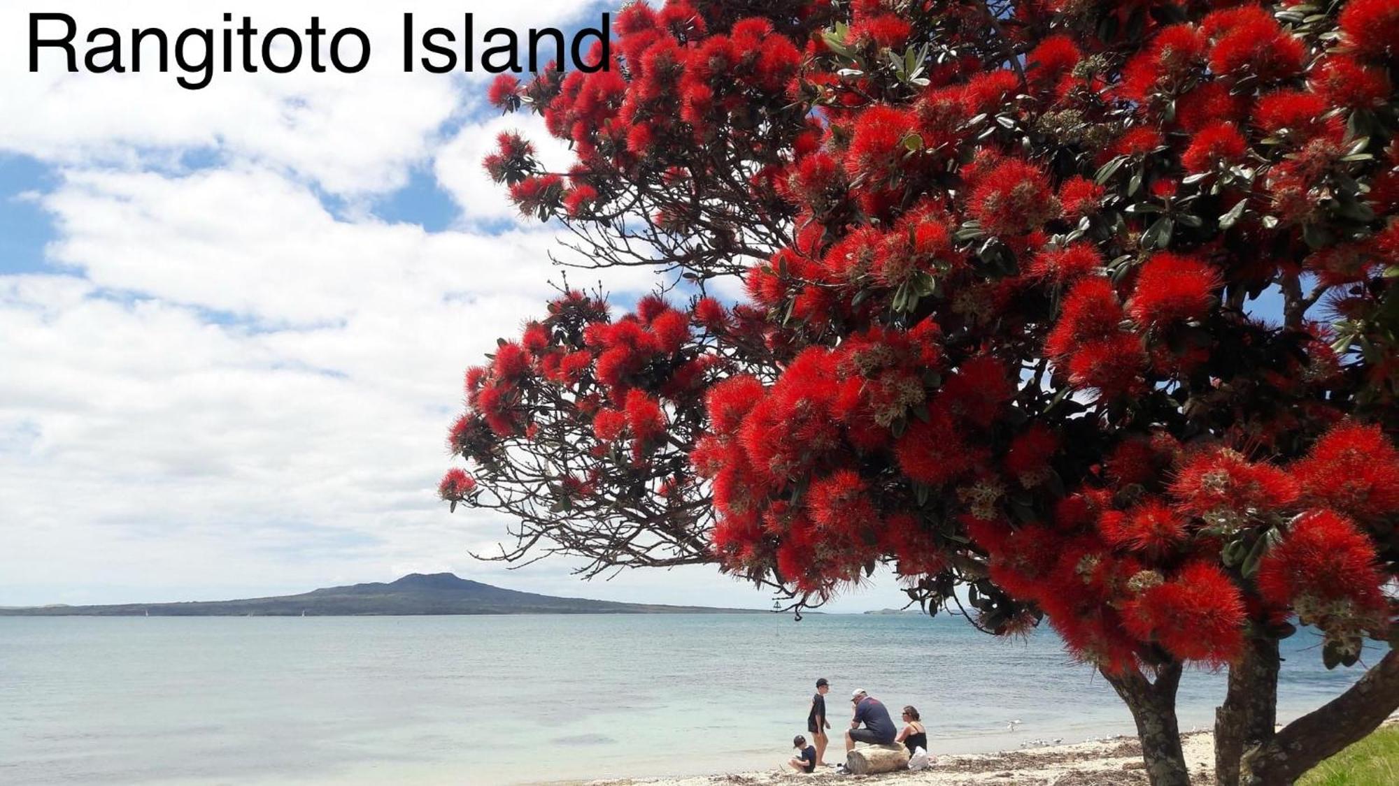 The Partchery Devonport オークランド エクステリア 写真
