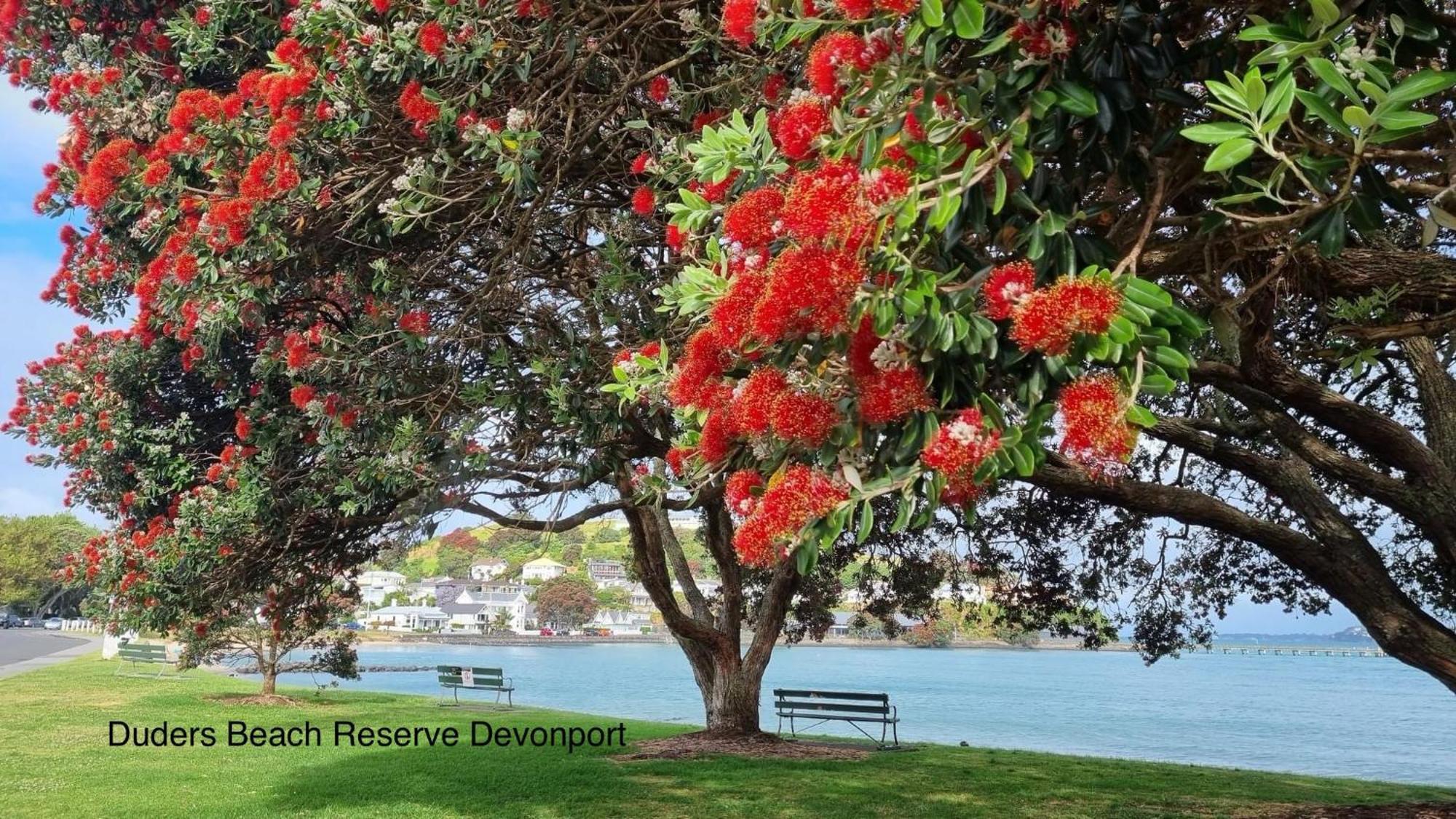 The Partchery Devonport オークランド エクステリア 写真